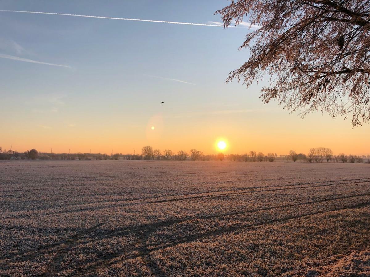 Gestorfer Koetnerhof Business Und Landlust Leilighet Springe Eksteriør bilde